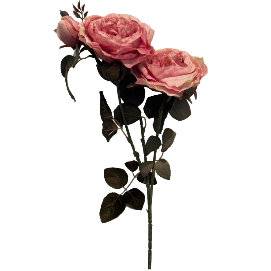 Seiderose Lunaris